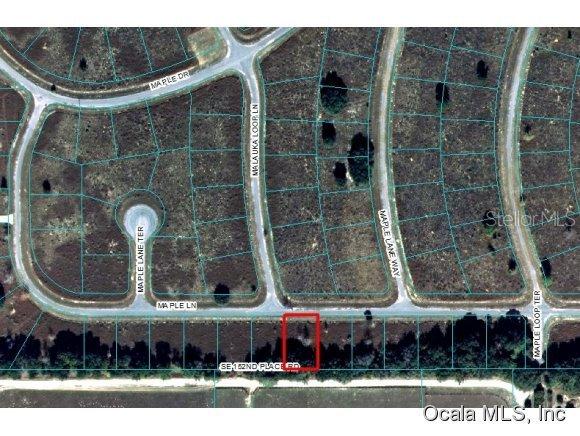 00 Maple Ln., Ocklawaha, FL 32179