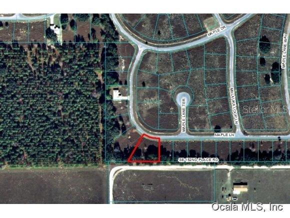 00 Maple Ln., Ocklawaha, FL 32179