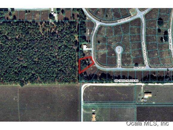 00 Maple Ln., Ocklawaha, FL 32179