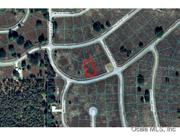 00 Maple Dr., Ocklawaha, FL 32179