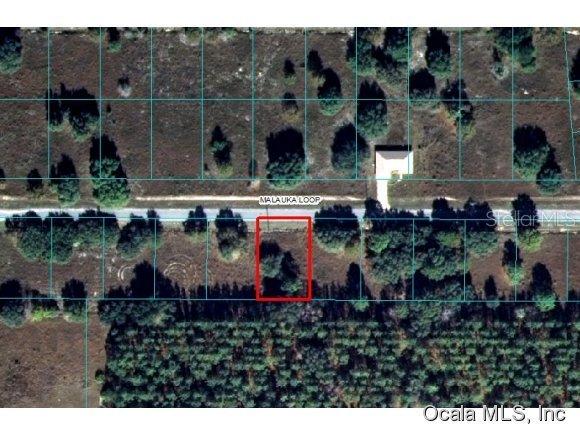 00 Malauka Loop, Ocklawaha, FL 32179