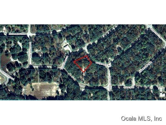 00 Guava Place Way, Ocklawaha, FL 32179