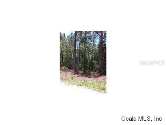 SW 151 Ter., Ocala, FL 34481