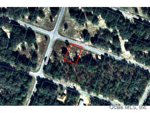 00 Fisher Ter., Ocklawaha, FL 32179