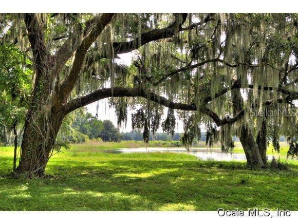 4135 E Highway 318, Citra, FL 32113