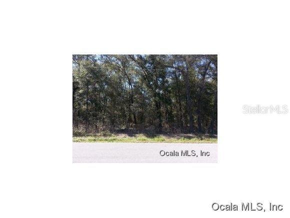 0000 SE 162 Pl., Summerfield, FL 34491