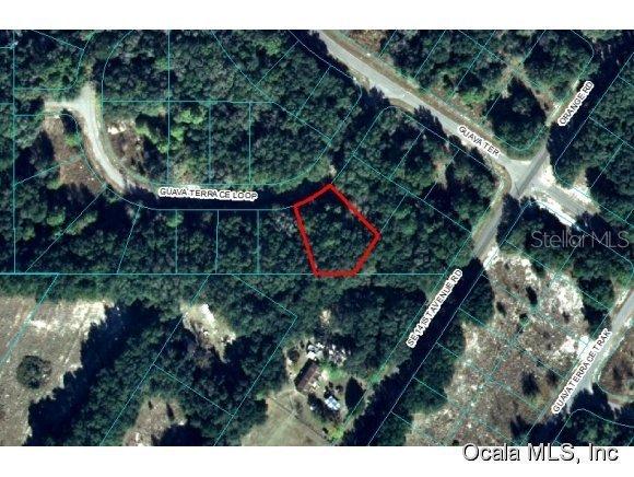 00 Guava Terrace Loop, Ocklawaha, FL 32179