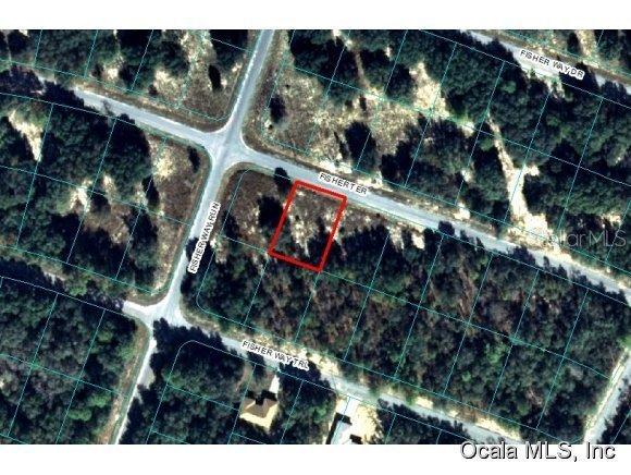 00 Fisher Ter., Ocklawaha, FL 32179