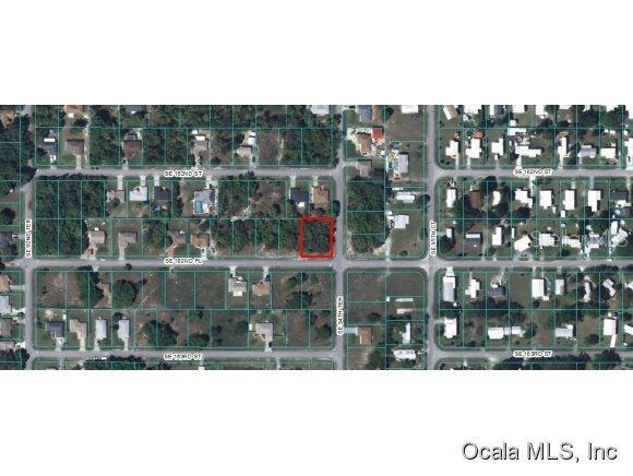 SE 162 Pl., Summerfield, FL 34491