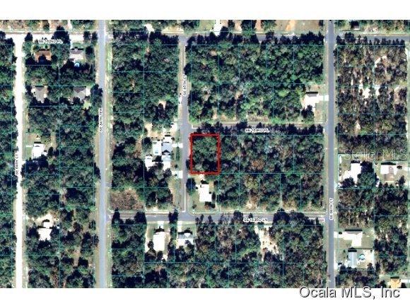 SE 163rd Pl., Summerfield, FL 34491