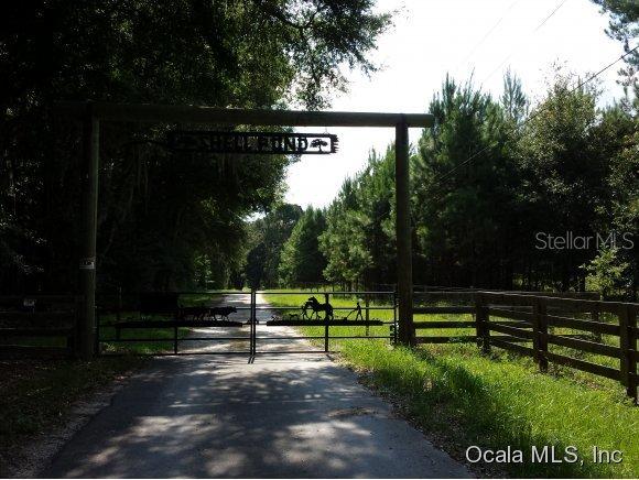 NE 150 (lcr 241) Ave., Williston, FL 32696