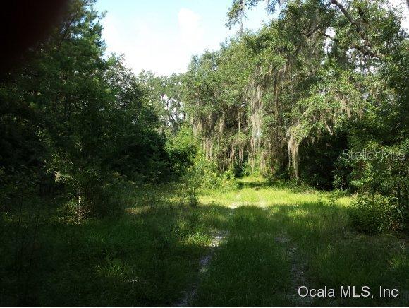 NE 150 (lcr 241) Ave., Williston, FL 32696