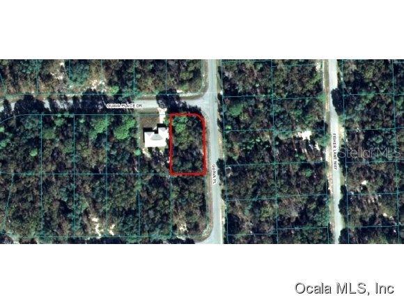 00 Guava Pl/guava Place Dr., Ocklawaha, FL 32179