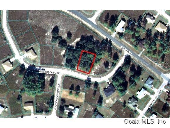00 Pine Track Loop, Ocala, FL 34472