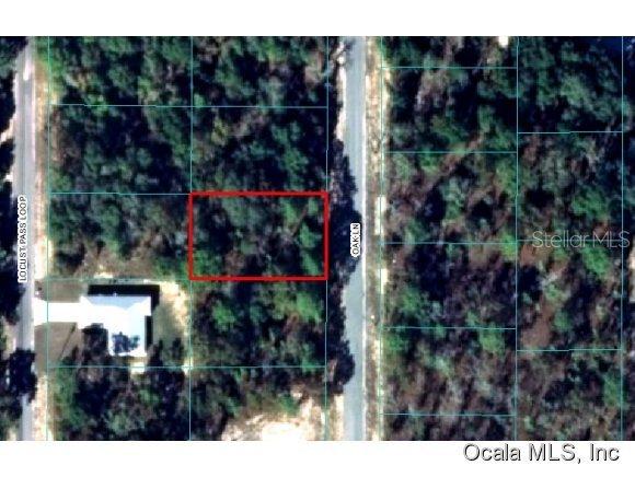 00 Oak Ln., Ocala, FL 34472