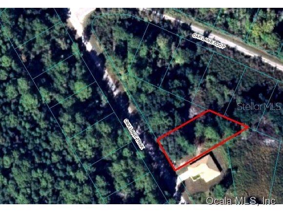 00 Oak Trk Ln., Ocala, FL 34472
