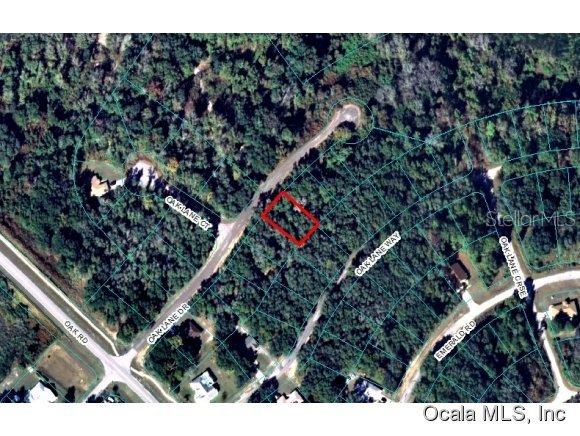 00 Oak Lane Dr., Ocala, FL 34472