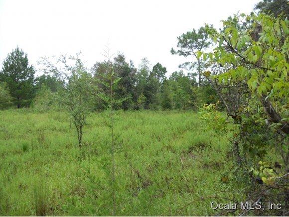 NE 160 Ave., Williston, FL 32696