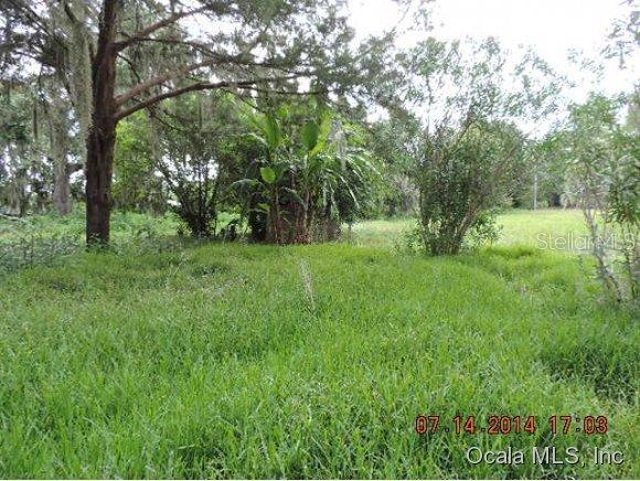 16400 NW Cr 225, Reddick, FL 32686