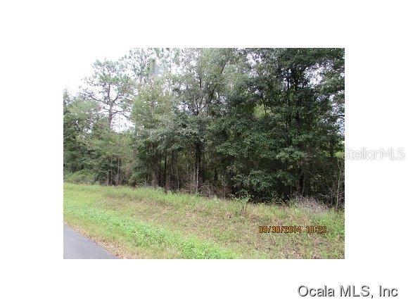 SW 199 Ct., Dunnellon, FL 34431