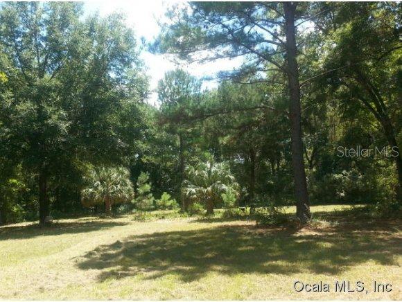 5771 NW 185 St., Reddick, FL 32686