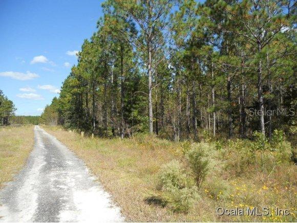 NE 75 St., Williston, FL 32696