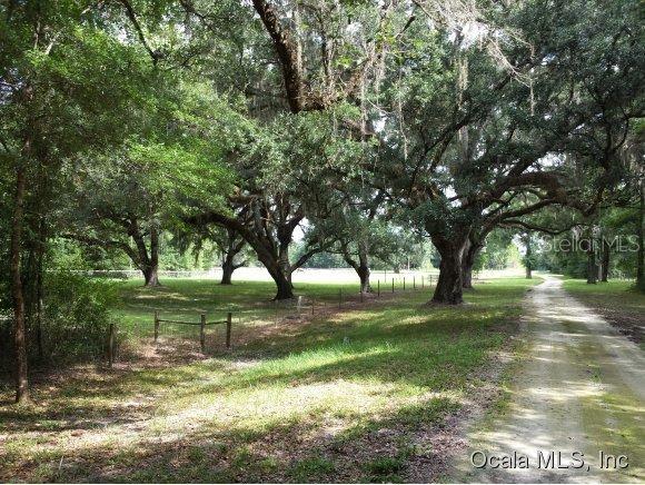 NE 150 ( Lcr 241 ) Ave., Williston, FL 32696