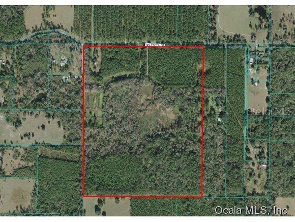 11960 NW 200 St., Micanopy, FL 32667