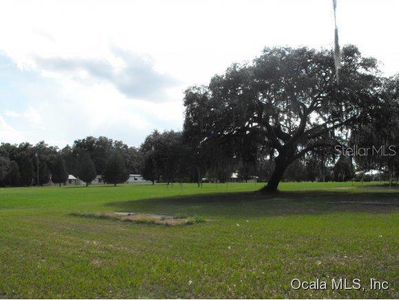 9831 SE 160 Ave., Ocklawaha, FL 32179