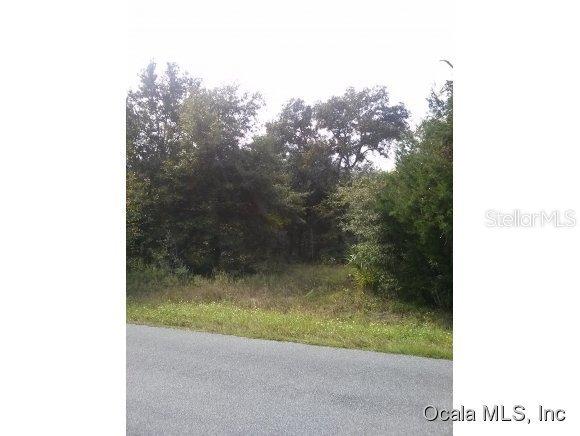 SE 84 Ter., Summerfield, FL 34491