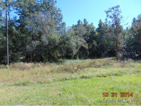 3680 SW 160 Ave., Ocala, FL 34481