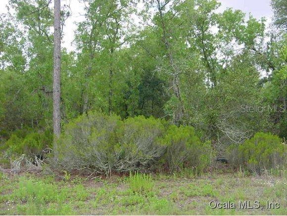 NE 46 St., Williston, FL 32696