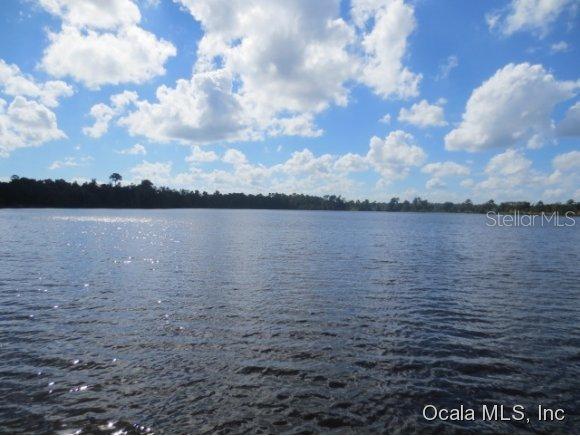 SE 165 Terrace Rd., Ocklawaha, FL 32179