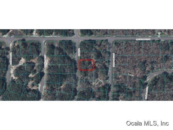 SE Guava Tr., Ocklawaha, FL 32179
