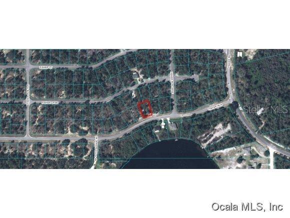 Fisher Run, Ocklawaha, FL 32179