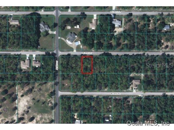 SE 161 St., Summerfield, FL 34491