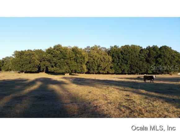 NE 160 Ave., Williston, FL 32696