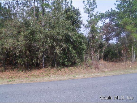 SW 61 Place Rd., Ocala, FL 34481