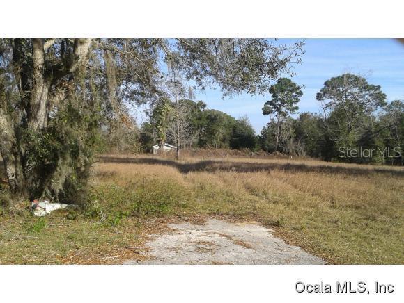 16075 SE 91 Ct., Summerfield, FL 34491