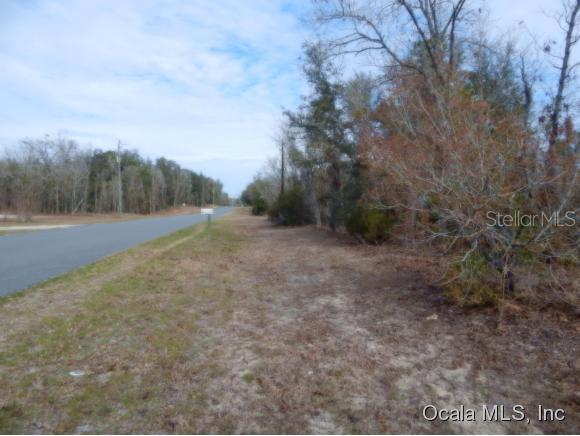 00 NE 137 Ter., Williston, FL 32696