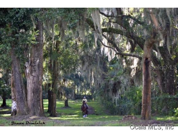 4663 NW 115 Ave., Ocala, FL 34482
