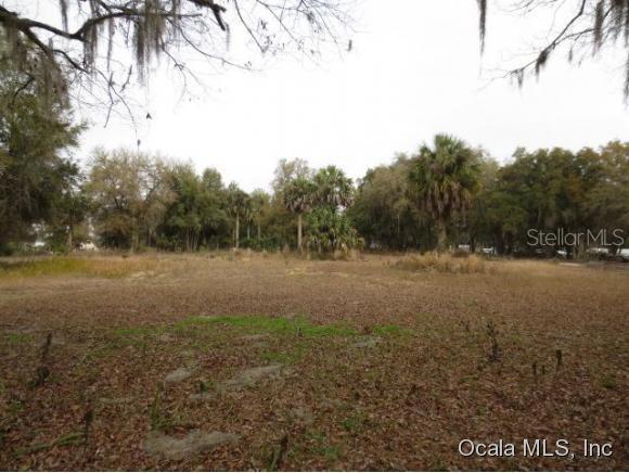 SE 52nd St., Ocklawaha, FL 32179