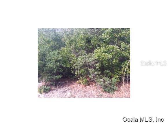 00 NE 233 Ft Ln., Fort Mc Coy, FL 32134