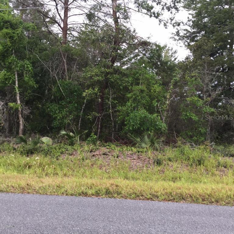 Holly Rd., Ocala, FL 34472