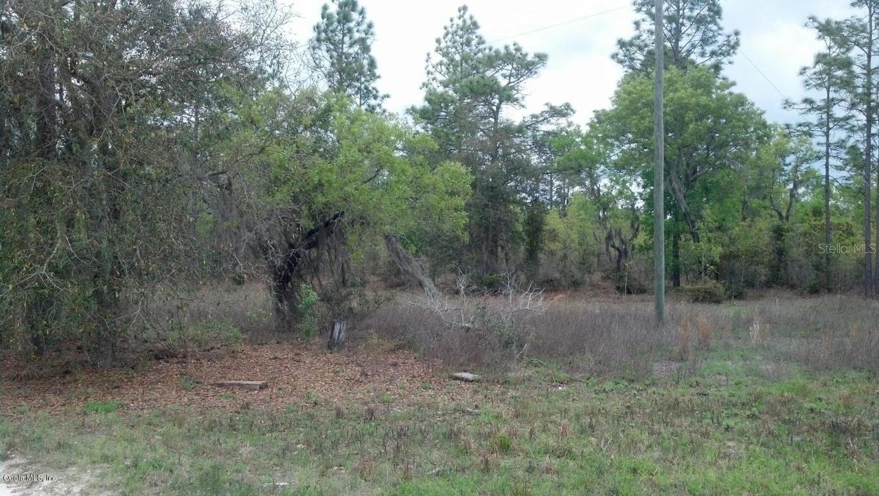 000 NE 140 Ave., Williston, FL 32696