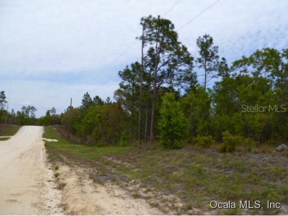 SE 123 Ter., Morriston, FL 32668