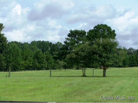 15253 NW 185 St., Williston, FL 32696