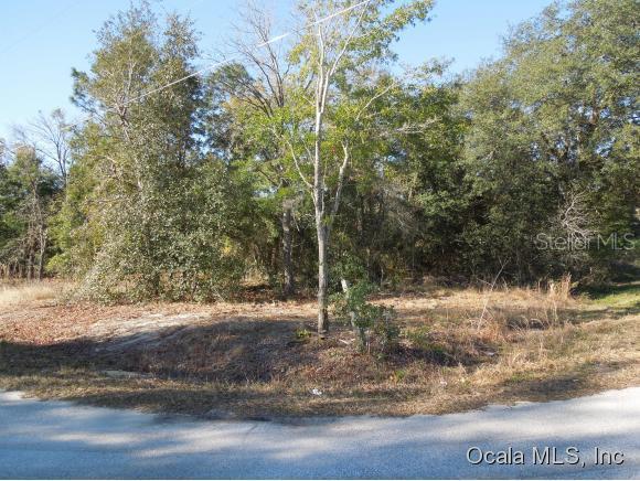 SE 90 Ter., Summerfield, FL 34491