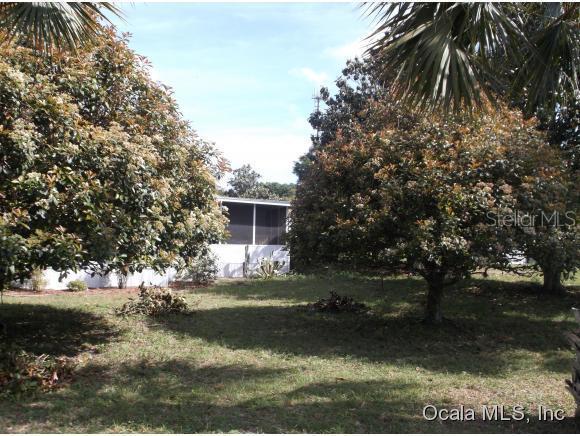 9867 SE 166 St., Summerfield, FL 34491