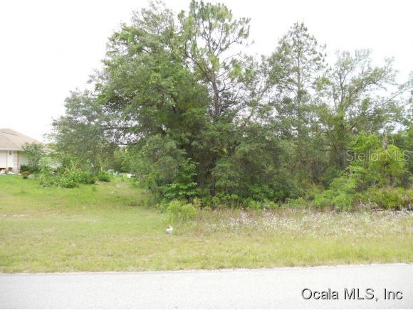 NE 136 Ave., Williston, FL 32696